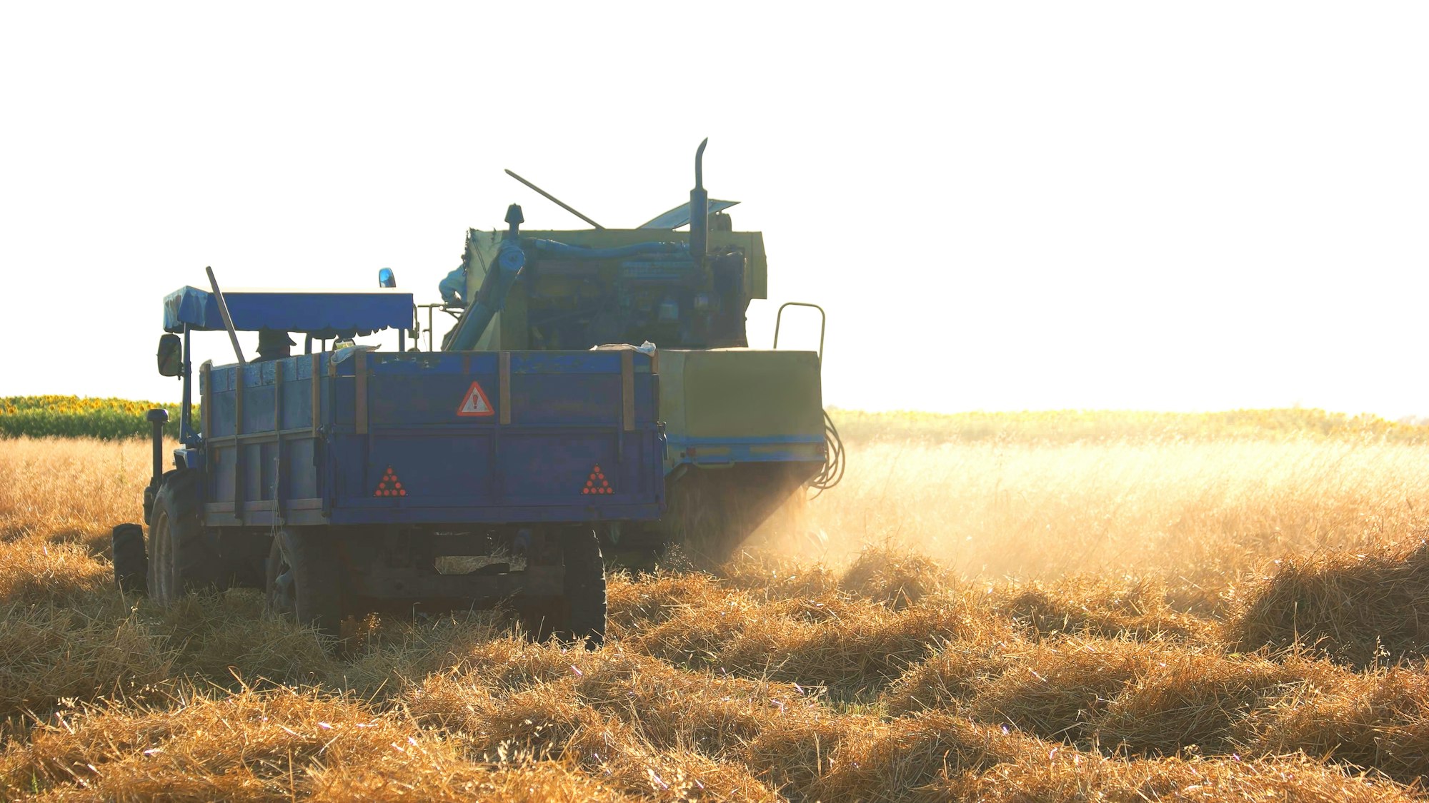 Machine harvesting crop.