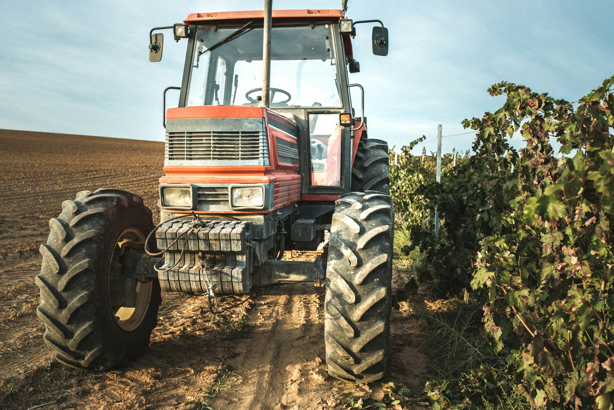 Tractor in a vineyard