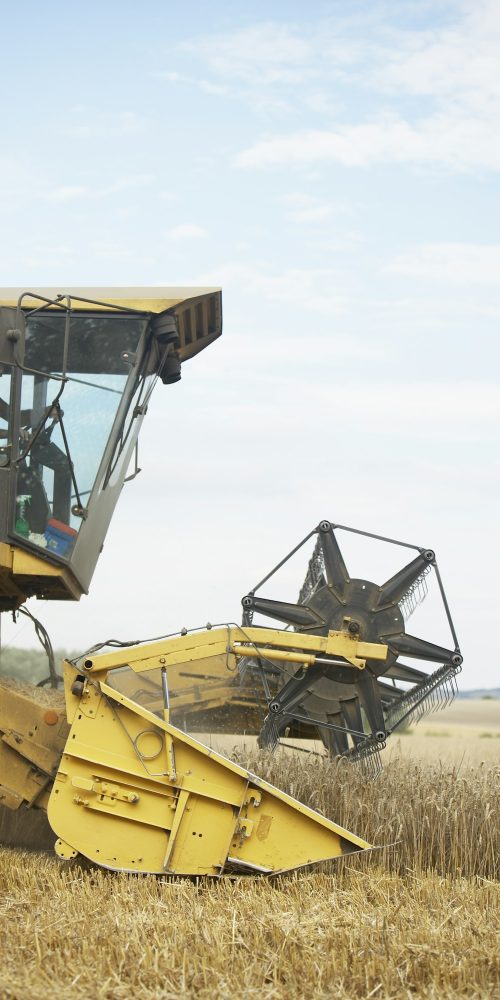 Combine Harvester Working In Field